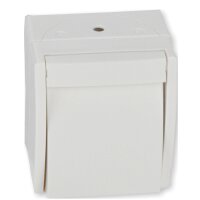 Busch-Jaeger 2601/6 W-54 Schalter Aus/Wechsel